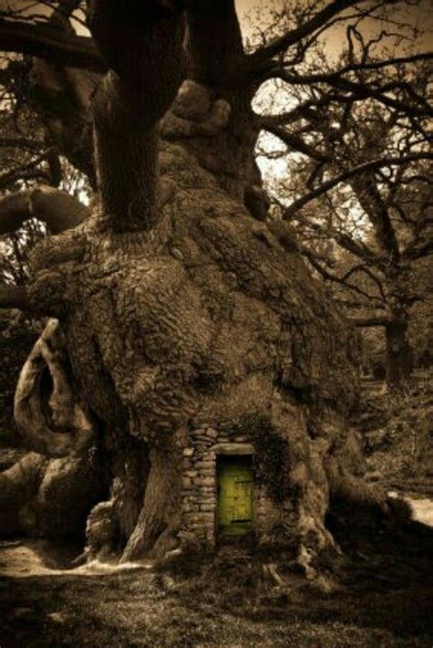 Magic tree ghousd lwpreehaun